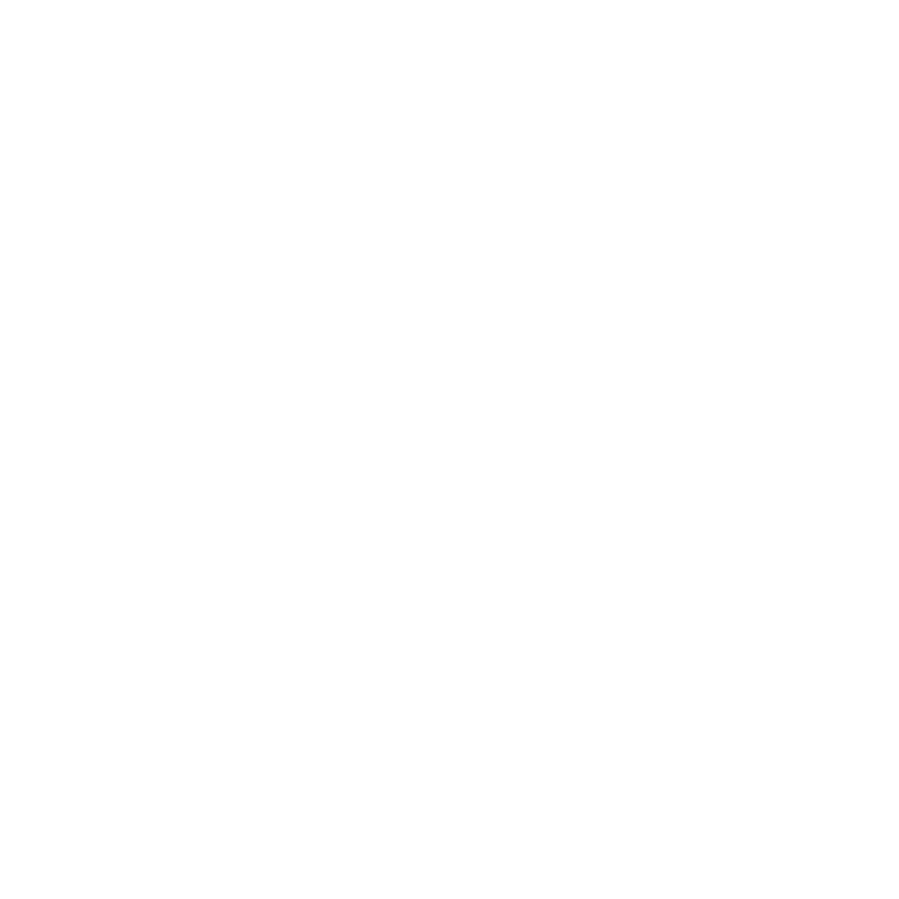Exeter Phoenix